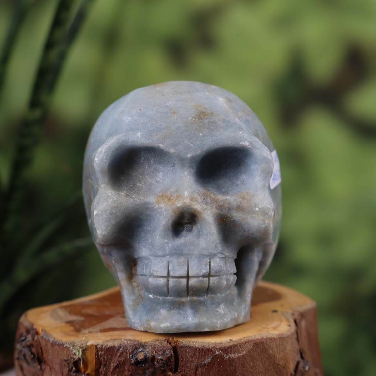 Handcrafted Angelite crystal skull sculpture on wooden base, 6x6 cm, showcasing unique shape and natural stone texture.