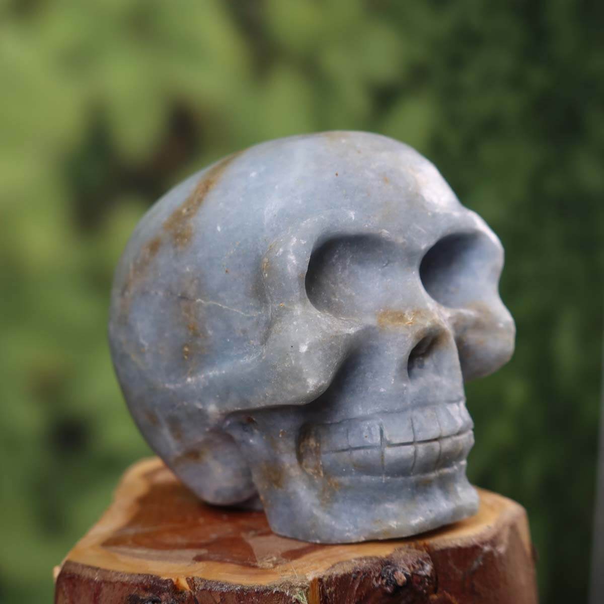 Handcrafted Angelite crystal skull sculpture on wooden base, 6x6 cm, showcasing unique shape and natural stone texture.