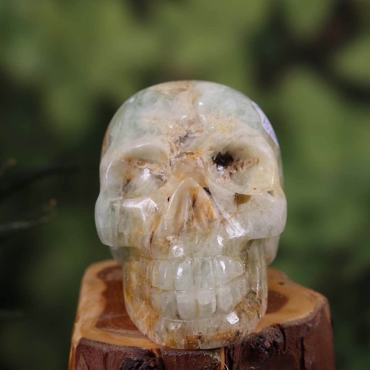 Echter handgefertigter Aquamarin Kristallschädel auf Holzständer, Steinwelten Sammlerstück, Naturstein online kaufen. Größe 9x7 cm.