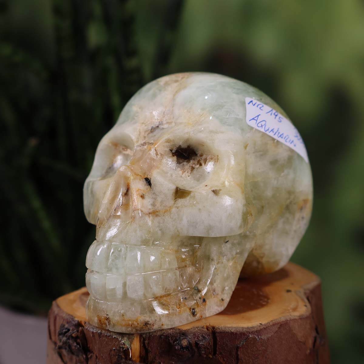 Echter handgefertigter Aquamarin Kristallschädel auf Holzständer, Steinwelten Sammlerstück, Naturstein online kaufen. Größe 9x7 cm.