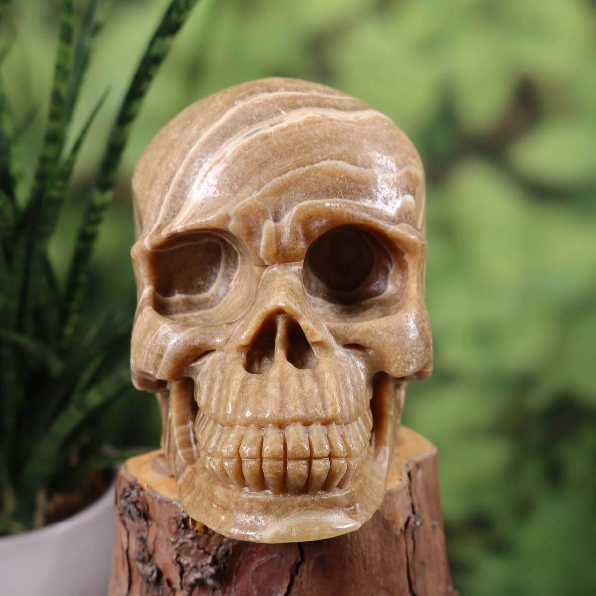 Handcrafted Aragonite crystal skull with unique shape on display; buy in Graz and Wiener Neustadt. 13x9 cm, collector's piece.