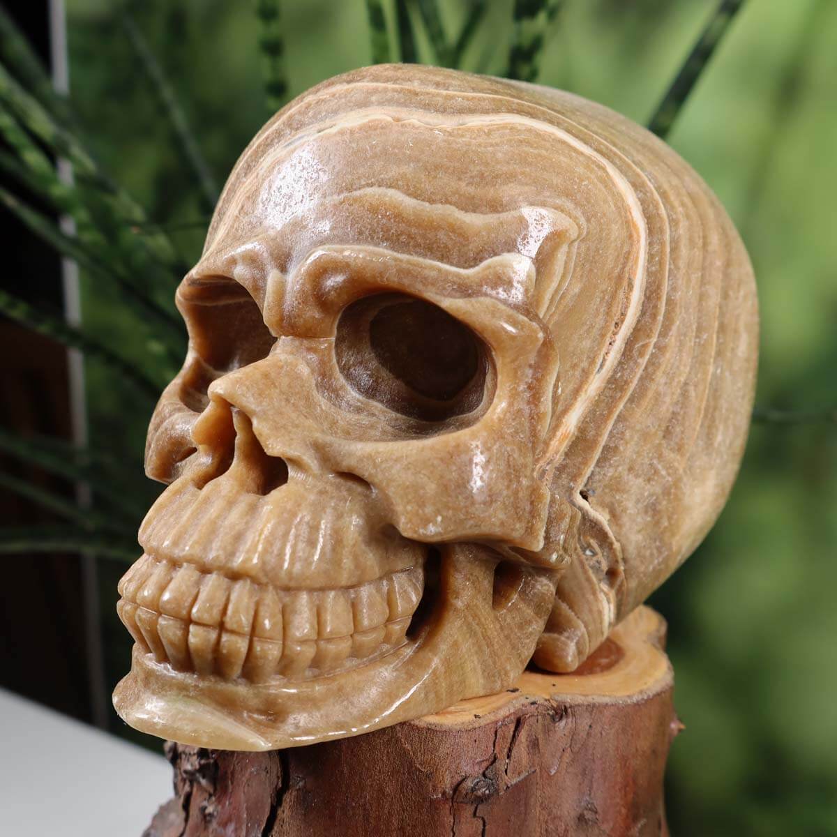 Handcrafted Aragonite crystal skull with unique shape on display; buy in Graz and Wiener Neustadt. 13x9 cm, collector's piece.