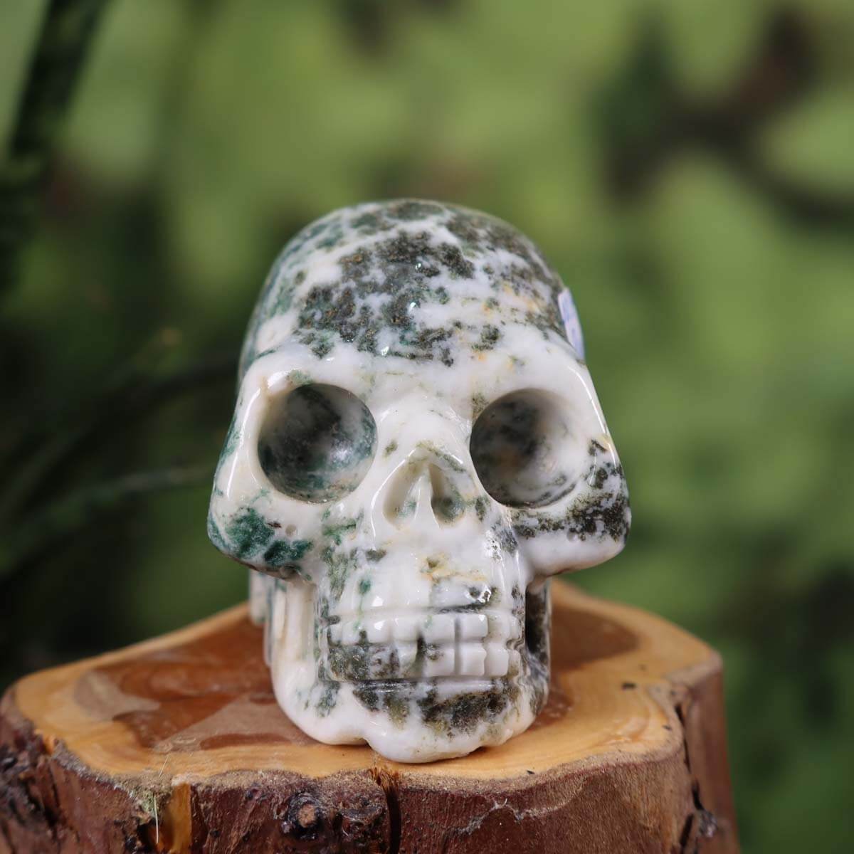 Handgefertigter Baumachat Kristall Schädel Sammlerstück, 6x5 cm, steinwelten online kaufen