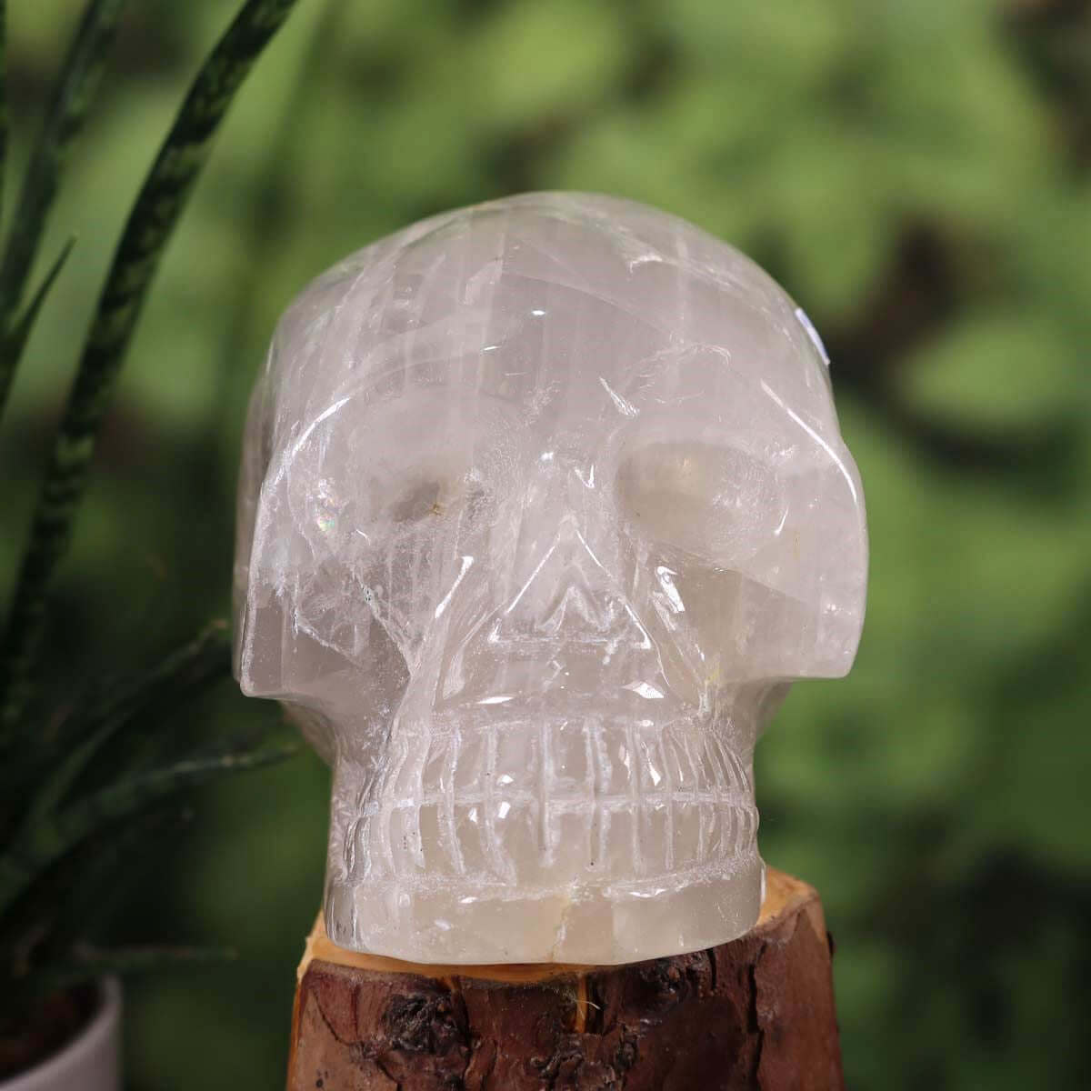 Echter großer Bergkristall Schädel, handgefertigt, 13x10 cm, außergewöhnlicher Sammlerstück, Wiener Neustadt Mineralien.