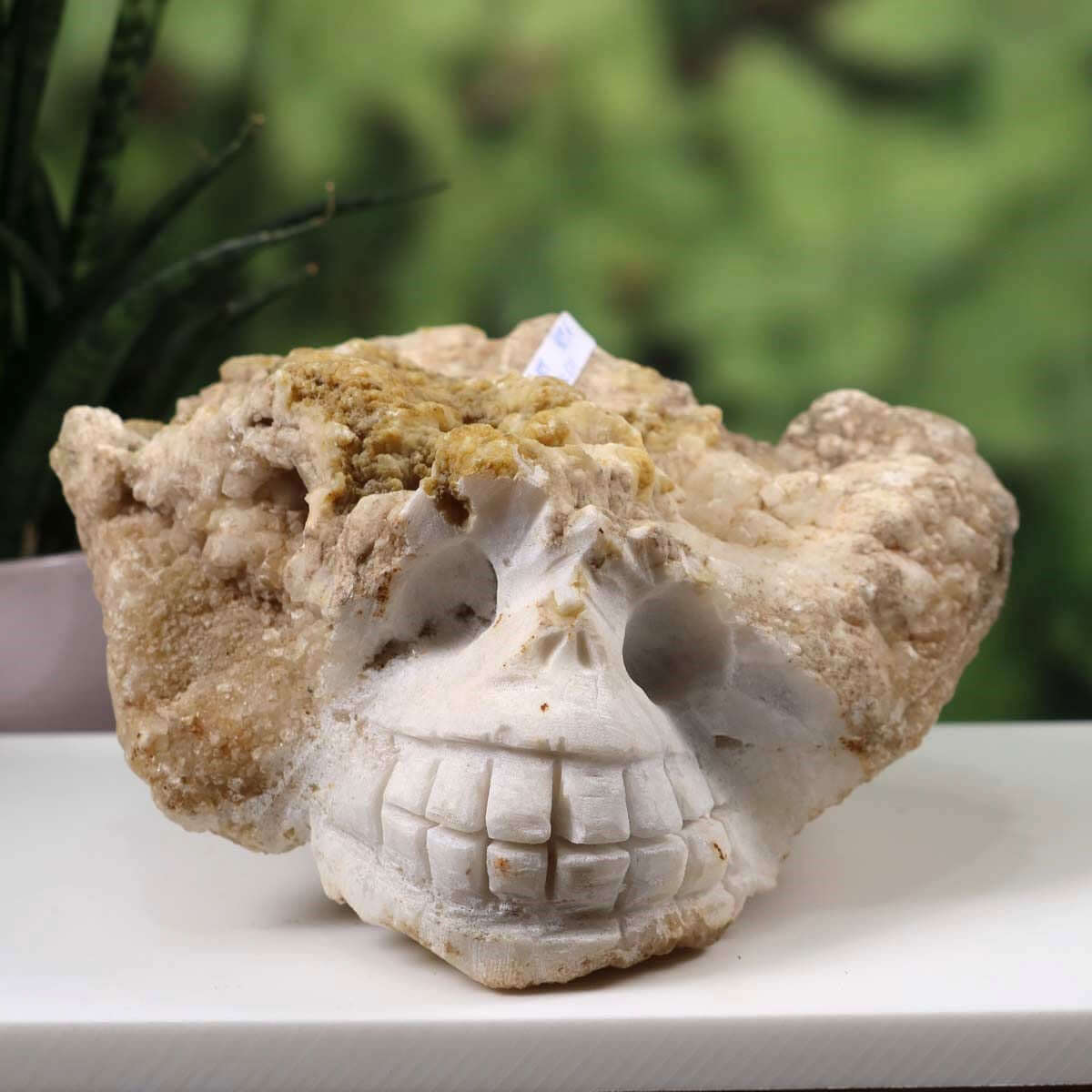Handcrafted XL calcite crystal skull, unique collector's piece, available at Steinwelten. Naturstein Kristallschädel online kaufen.