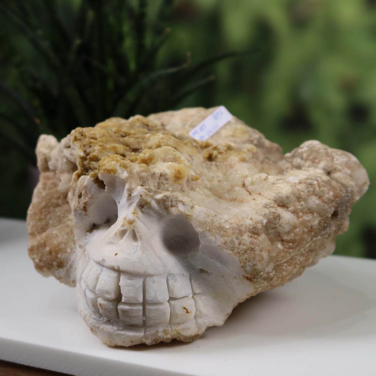 Handcrafted XL calcite crystal skull, unique collector's piece, available at Steinwelten. Naturstein Kristallschädel online kaufen.