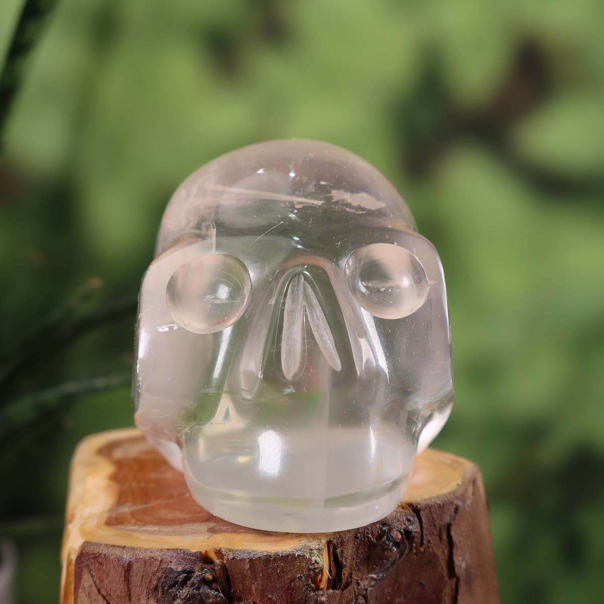 Echter Kristall Schädel aus weißem Calcit auf Holz, handgefertigtes Sammlerstück mit einzigartiger Form, 7x7 cm
