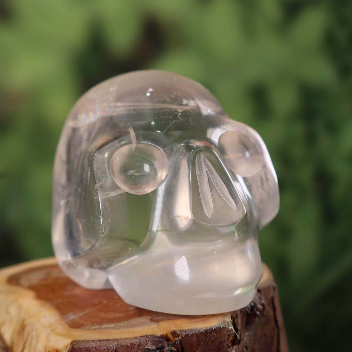 Echter Kristall Schädel aus weißem Calcit auf Holz, handgefertigtes Sammlerstück mit einzigartiger Form, 7x7 cm