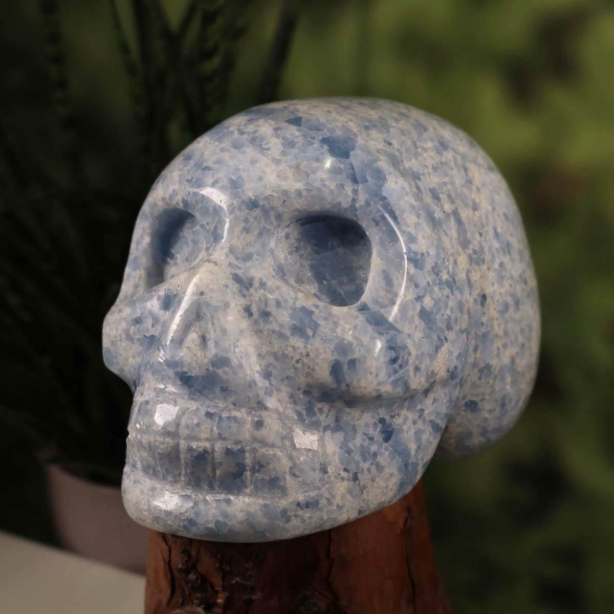 Echter großer XL Kristall Schädel aus Calcit blau, handgefertigt, Sammlerstück, Graz und Wiener Neustadt Mineralien Edelsteine - 15x11 cm