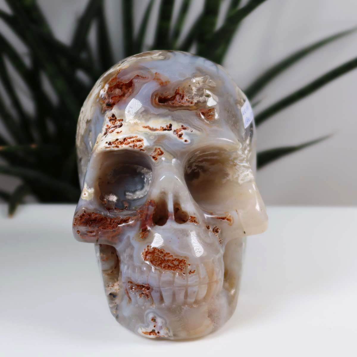 Echter handgefertigter Kristallschädel aus Chalcedon, einzigartiger Edelstein Totenkopf, Sammlerstück, 12x10 cm, online kaufen