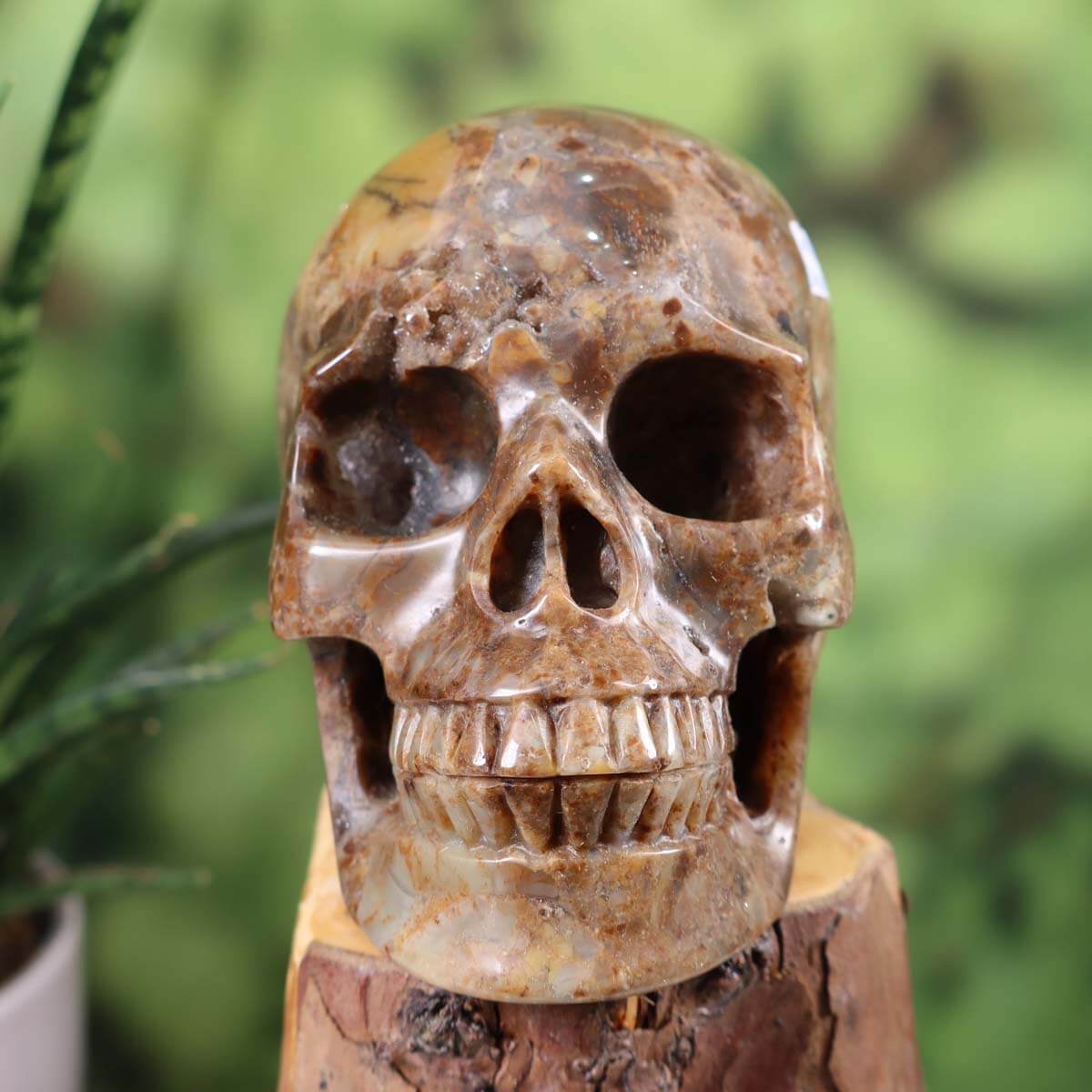 Handcrafted chalcedony and quartz crystal skull, unique collectible, available at Steinwelten online store for purchase.