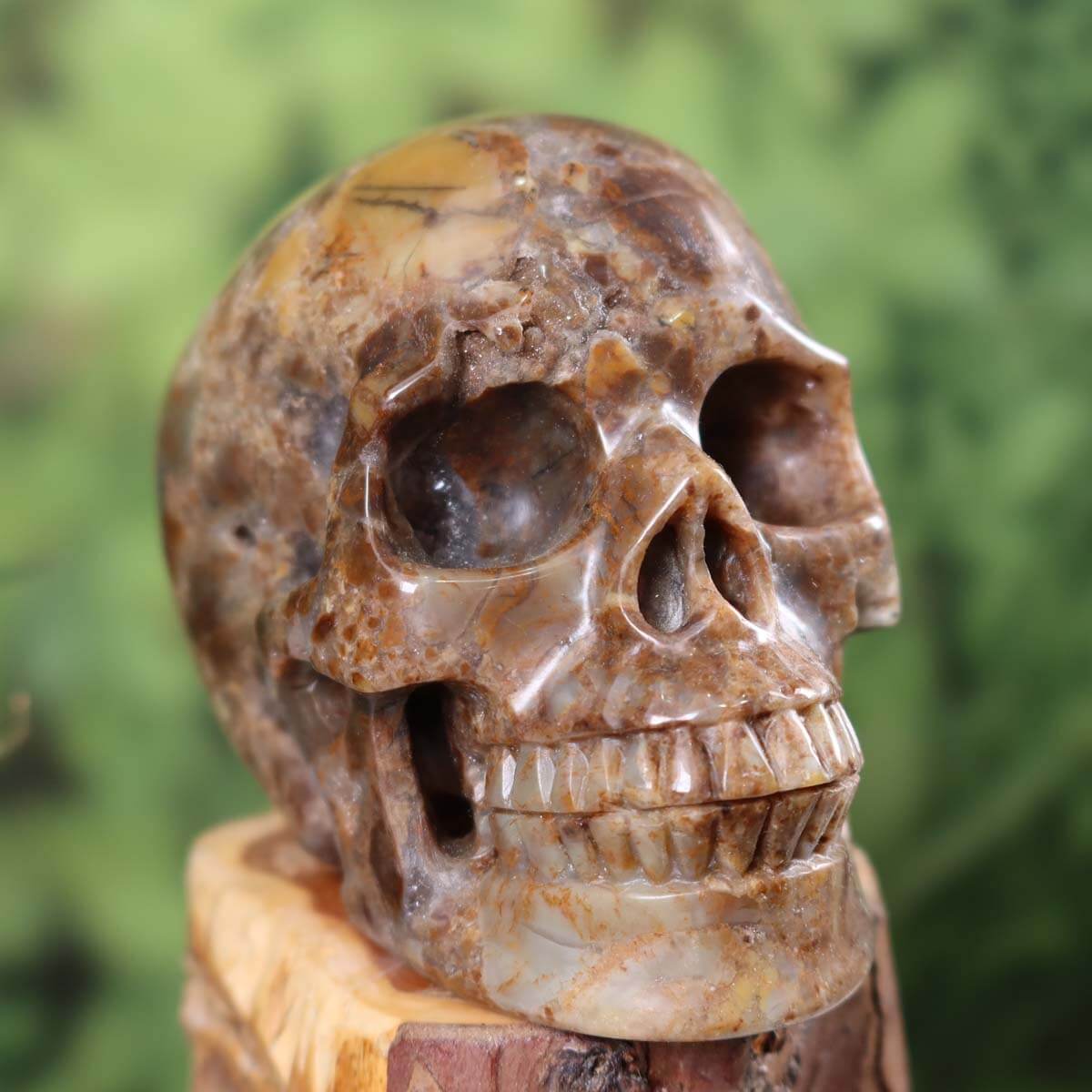 Handcrafted chalcedony and quartz crystal skull, unique collectible, available at Steinwelten online store for purchase.