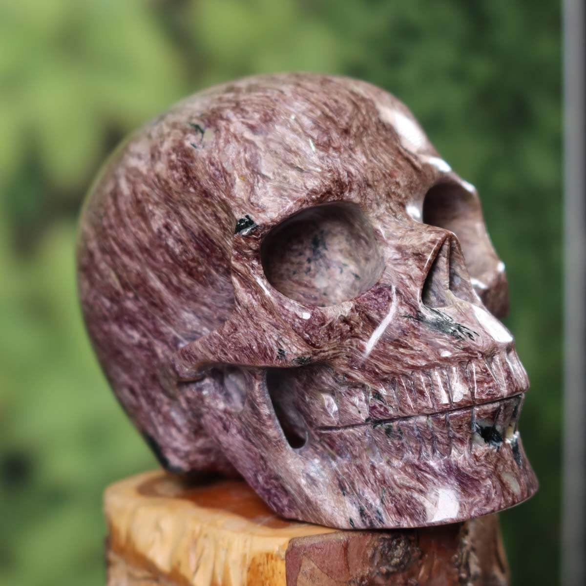 Großer handgefertigter Charoit Kristallschädel auf Holz, einzigartiger Edelstein Totenkopf online kaufen, Sammlerstück Nr. 160.