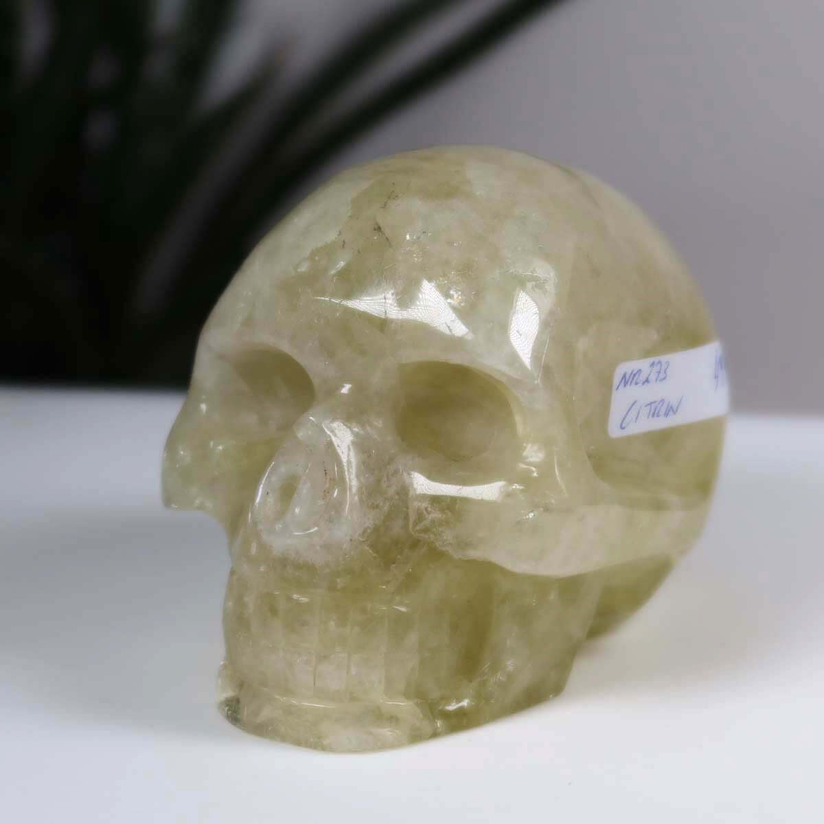 Handcrafted citrine crystal skull, 8x6 cm, unique gemstone art for sale at Steinwelten Mineralien und Edelsteine online shop.