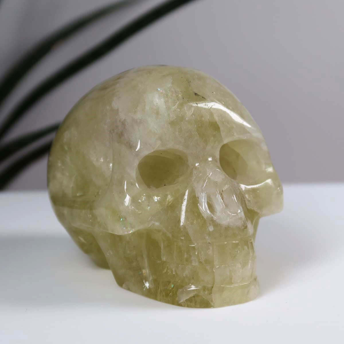 Handcrafted citrine crystal skull, 8x6 cm, unique gemstone art for sale at Steinwelten Mineralien und Edelsteine online shop.