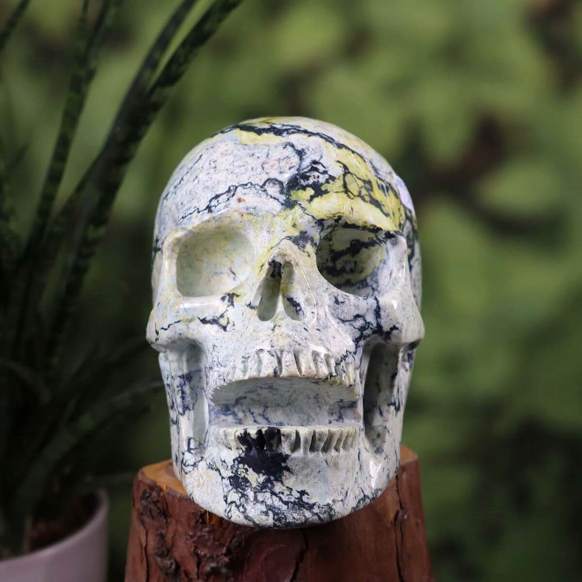 Echter großer Kristall Schädel handgefertigt aus Naturstein mit einzigartigen Mustern, Graz Mineralien und Edelsteine.