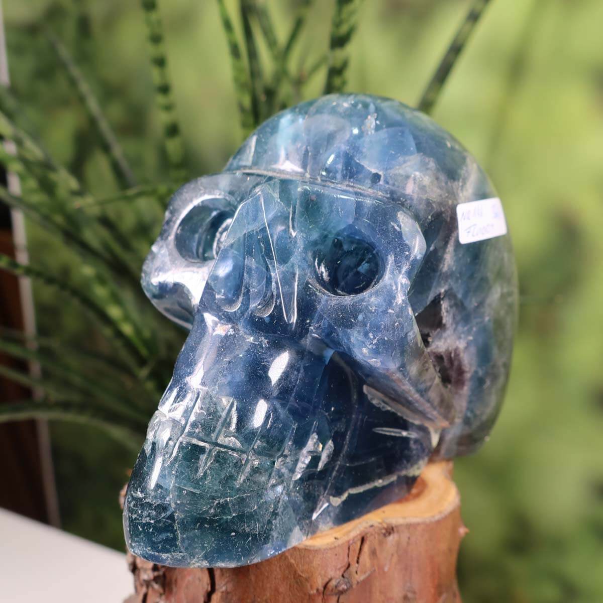 Handmade large fluorite crystal skull on display, unique gemstone art piece for collectors, 13x10 cm.