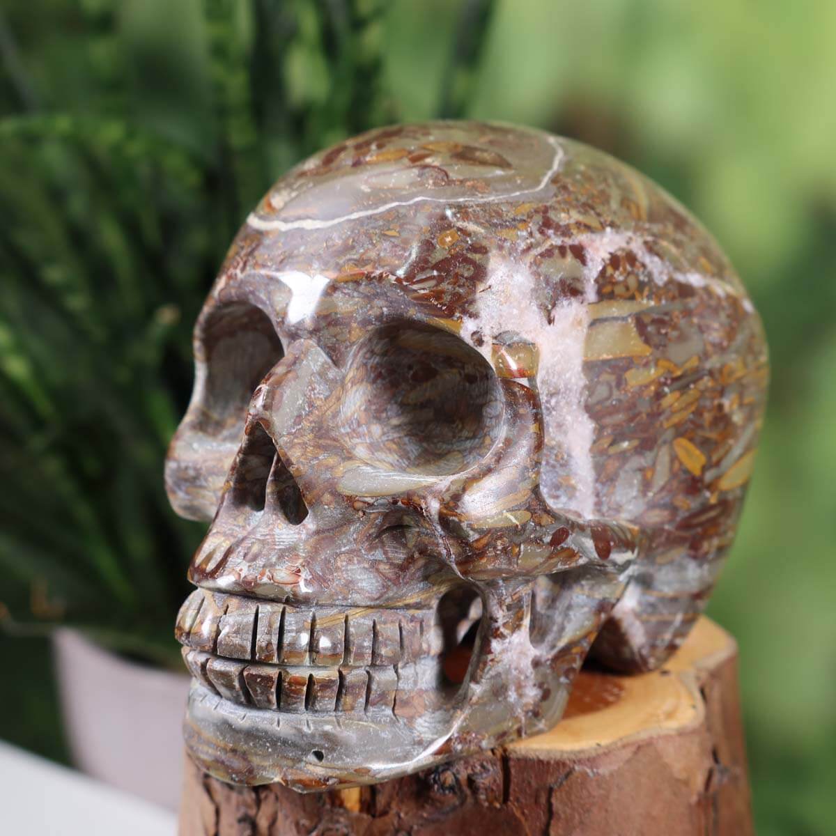 Echter großer Kristall Schädel handgefertigt aus Fossilien Kalkstein, 11x8 cm, Graz Mineralien Amethyst Drusen Geschäft, Skull Nr. 38