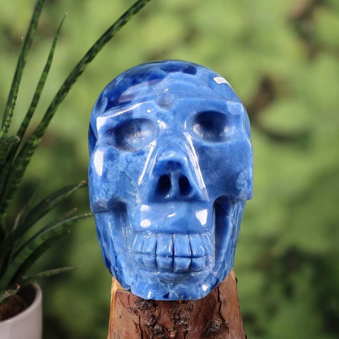 Großer blauer synthetischer Kristallschädel, 13x13 cm, handgefertigt für Steinwelten, online kaufen