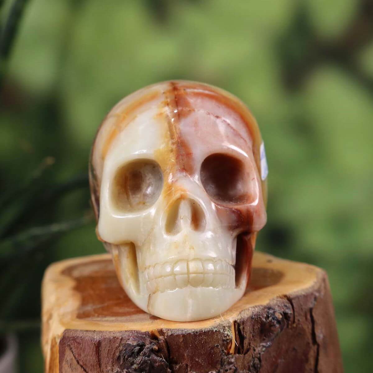 Handcrafted Jasper crystal skull on wooden stand, 7x6 cm, unique gemstone artwork, available at Steinwelten for online purchase.
