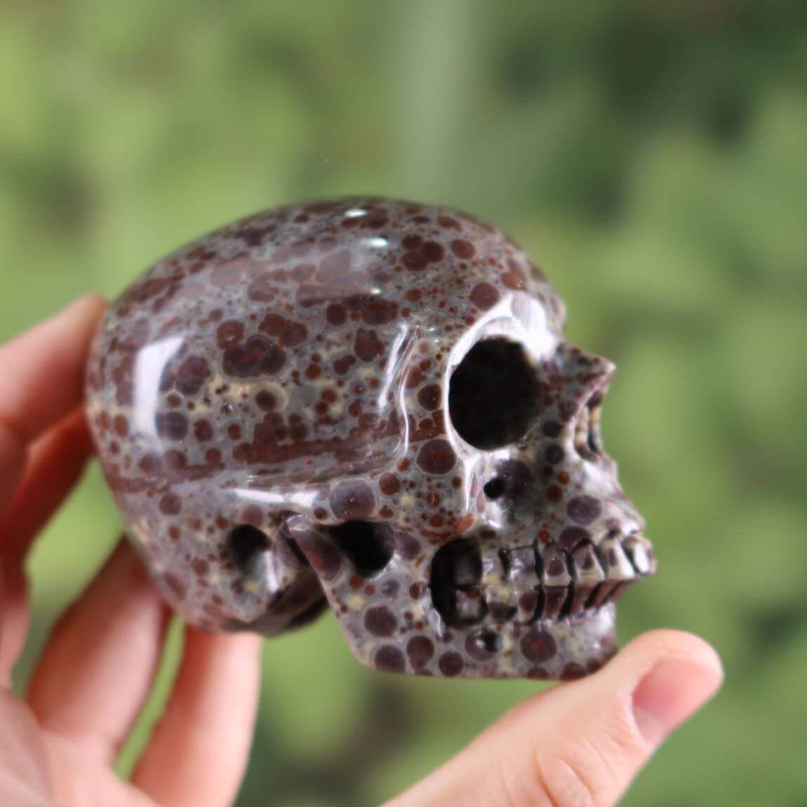 Echter Kristall Schädel aus Kalkoolith, handgefertigt und einzigartig, 7x6 cm - Ideal für Mineralien und Edelsteine Sammler.