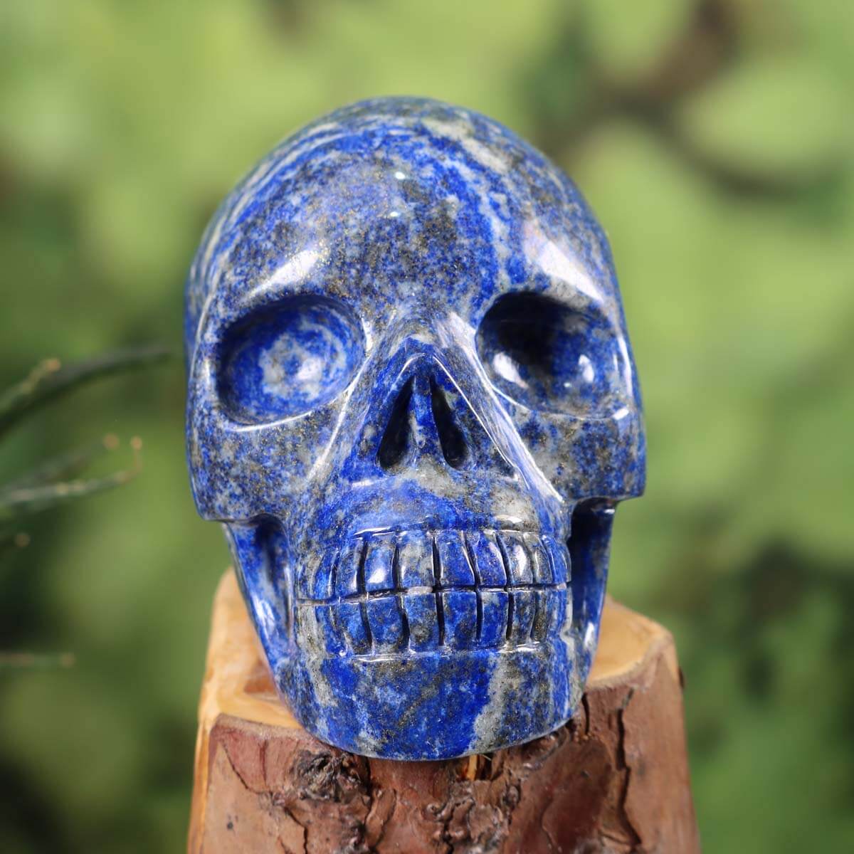 Handcrafted Lapislazuli crystal skull on display, showcasing unique blue flecks. Genuine, large collector piece from Graz Mineralien.
