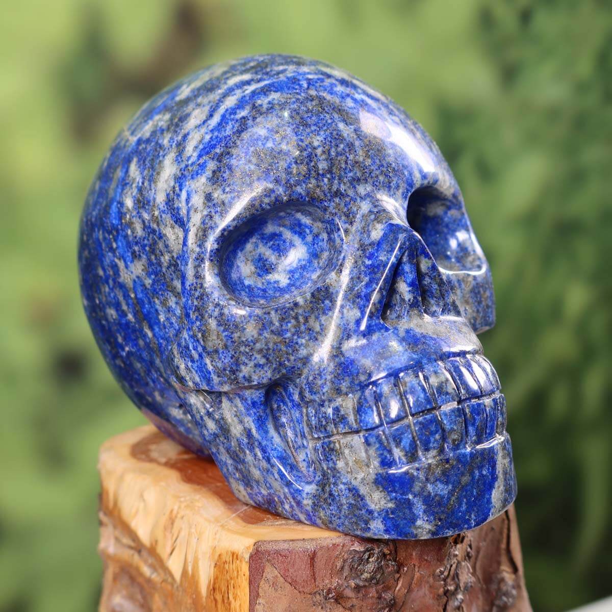 Handcrafted Lapislazuli crystal skull on display, showcasing unique blue flecks. Genuine, large collector piece from Graz Mineralien.