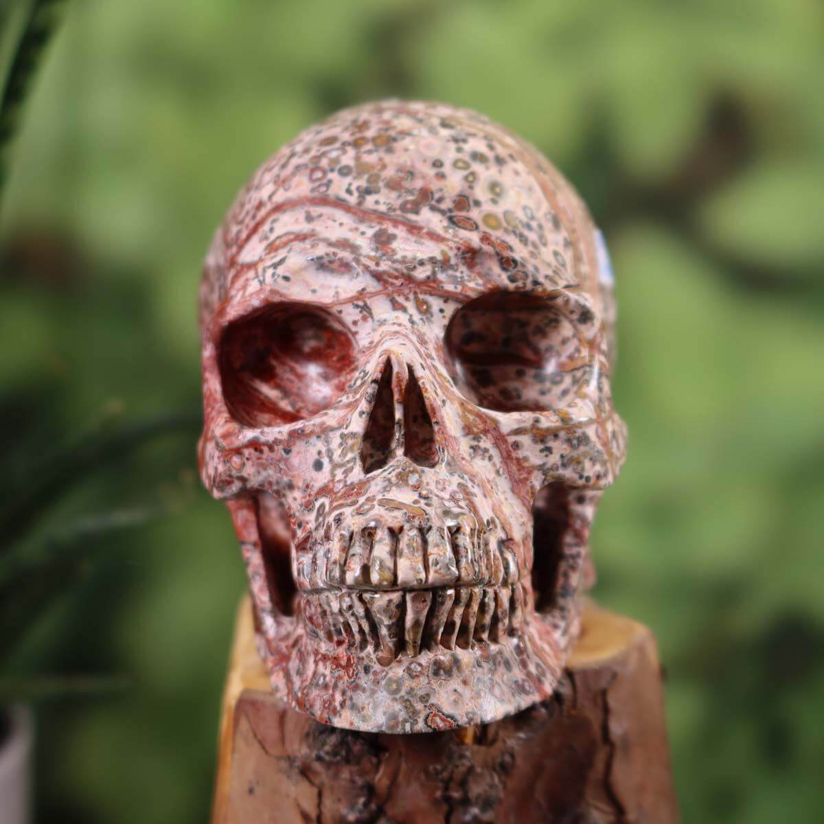 Handcrafted rhyolite leopard stone jasper crystal skull, 12x9 cm, unique mineral sculpture from Graz and Wiener Neustadt.