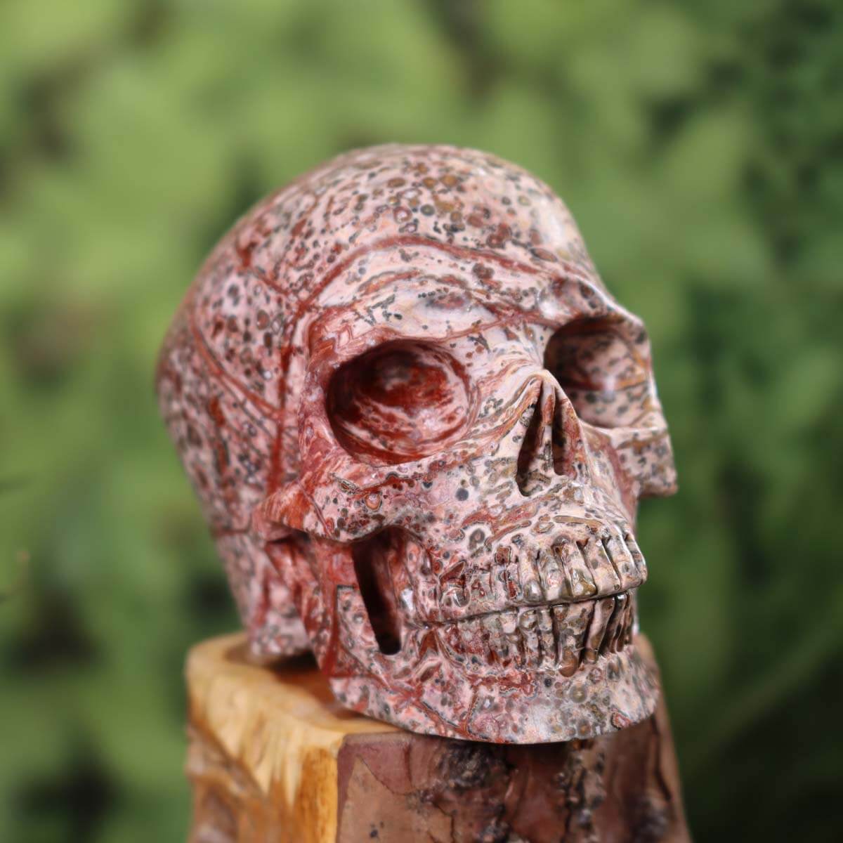 Handcrafted rhyolite leopard stone jasper crystal skull, 12x9 cm, unique mineral sculpture from Graz and Wiener Neustadt.