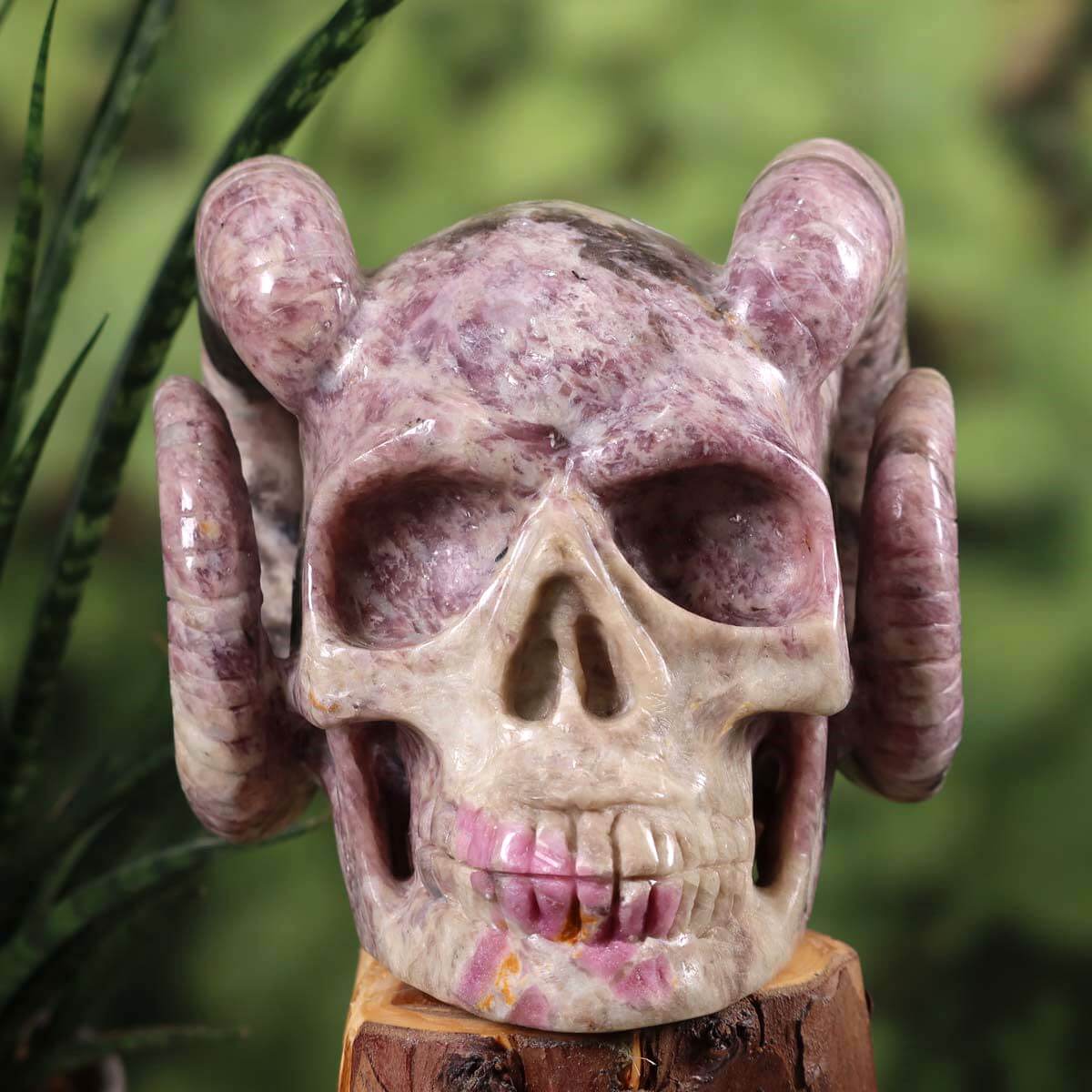 Handcrafted Lepidolith and Pink Tourmaline crystal skull with unique horns, collectible item available at Steinwelten, buy online.