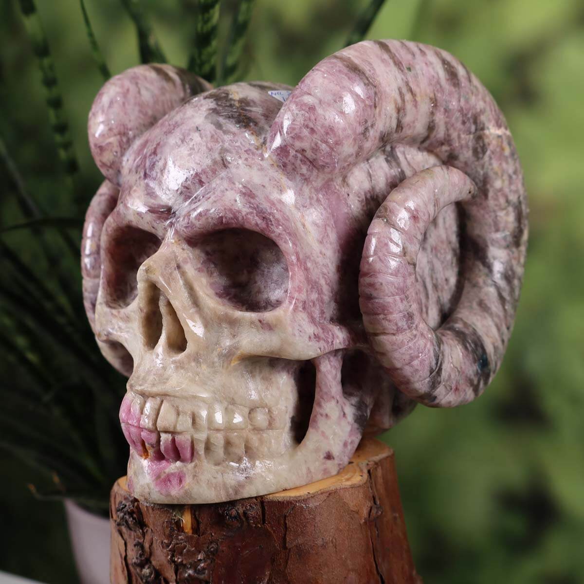 Handcrafted Lepidolith and Pink Tourmaline crystal skull with unique horns, collectible item available at Steinwelten, buy online.