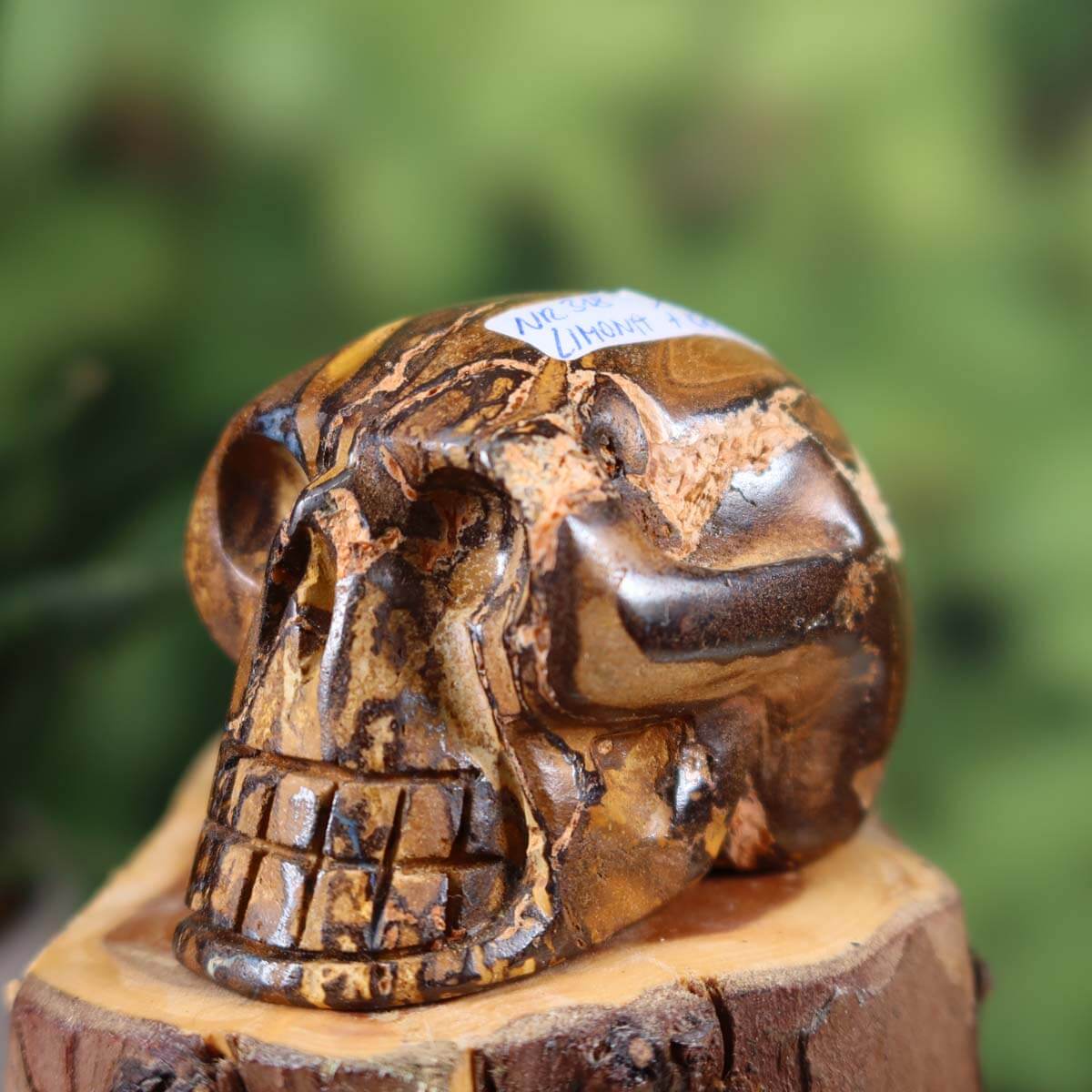 Handcrafted Boulder Opal Crystal Skull, 7x4 cm, unique gemstone sculpture available online at Steinwelten. Buy now.