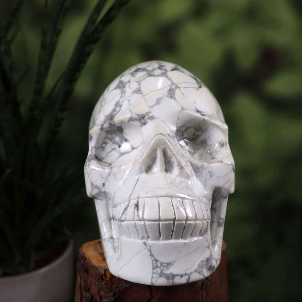 Handcrafted magnesite crystal skull, unique collector's item from Wiener Neustadt, 14x11 cm, exceptional form.