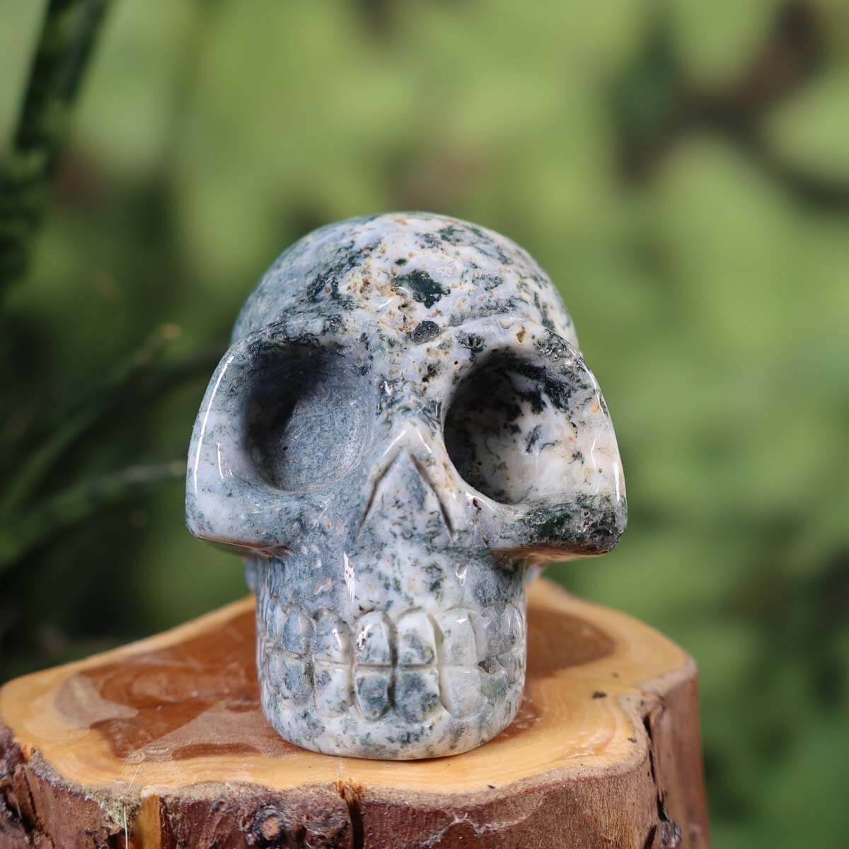 Handcrafted Moss Agate Crystal Skull on a wooden base, unique mineral sculpture for collectors - Steinwelten inspiration.