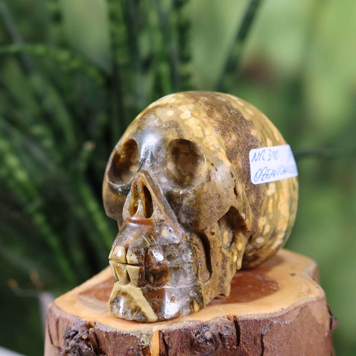 Handcrafted Ocean Chalcedony Crystal Skull, unique gemstone sculpture, 7x5 cm, perfect for collectors. Available online at Steinwelten.