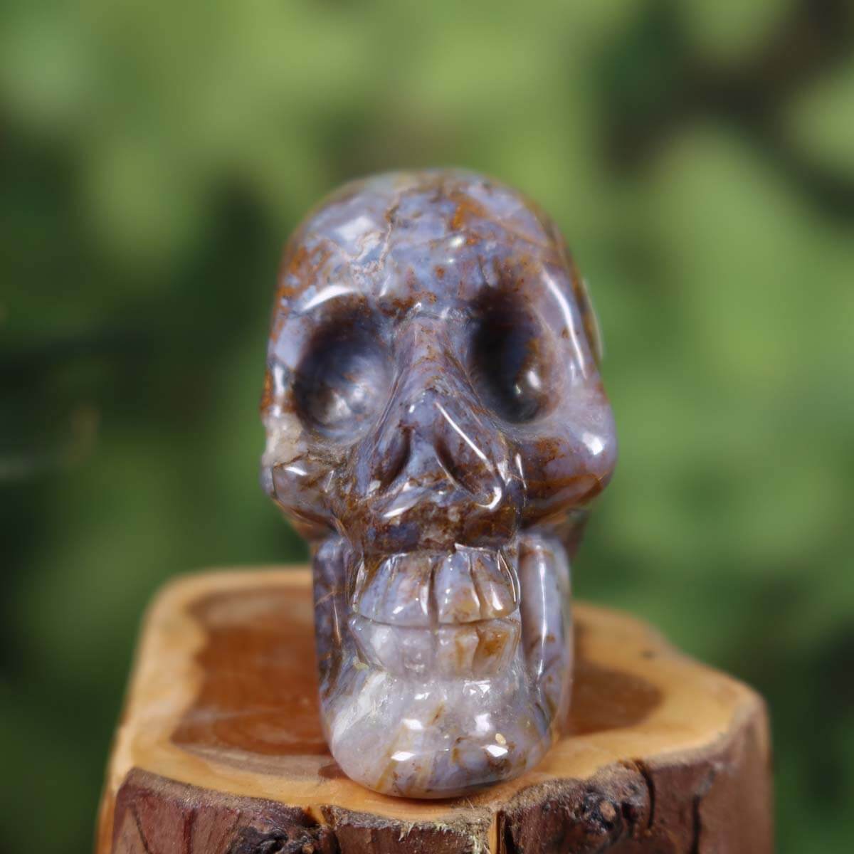 Handcrafted Pietersite crystal skull on display - unique collector's piece by Steinwelten Graz and Wiener Neustadt.