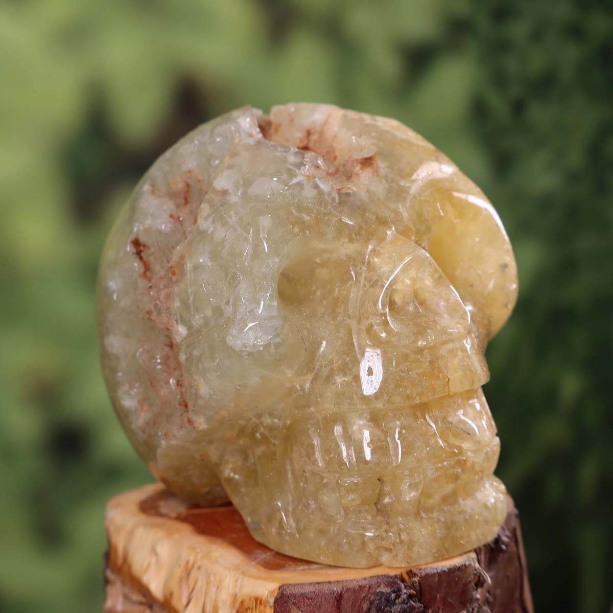 Echter großer handgefertigter gelber Prehnit Kristallschädel auf Holzständer, einzigartiges Sammlerstück. Kristallschädel online kaufen.