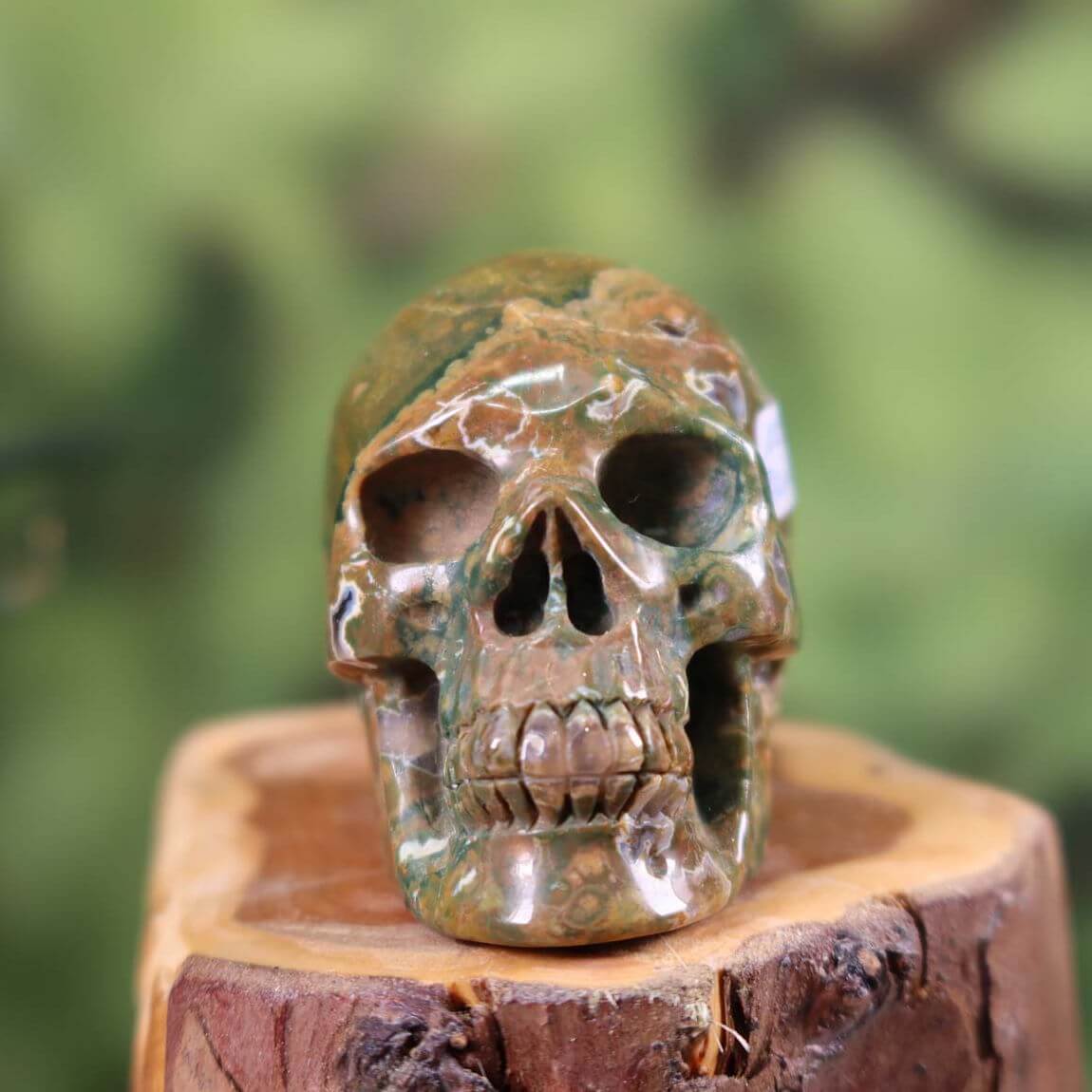 Handcrafted Rainforest Rhyolite Crystal Skull on Wooden Stand - 5x5 cm Unique Collectible