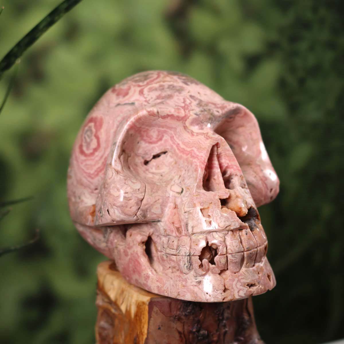Handcrafted XL rhodochrosite crystal skull, unique collector's piece, available at Steinwelten Graz and Wiener Neustadt.
