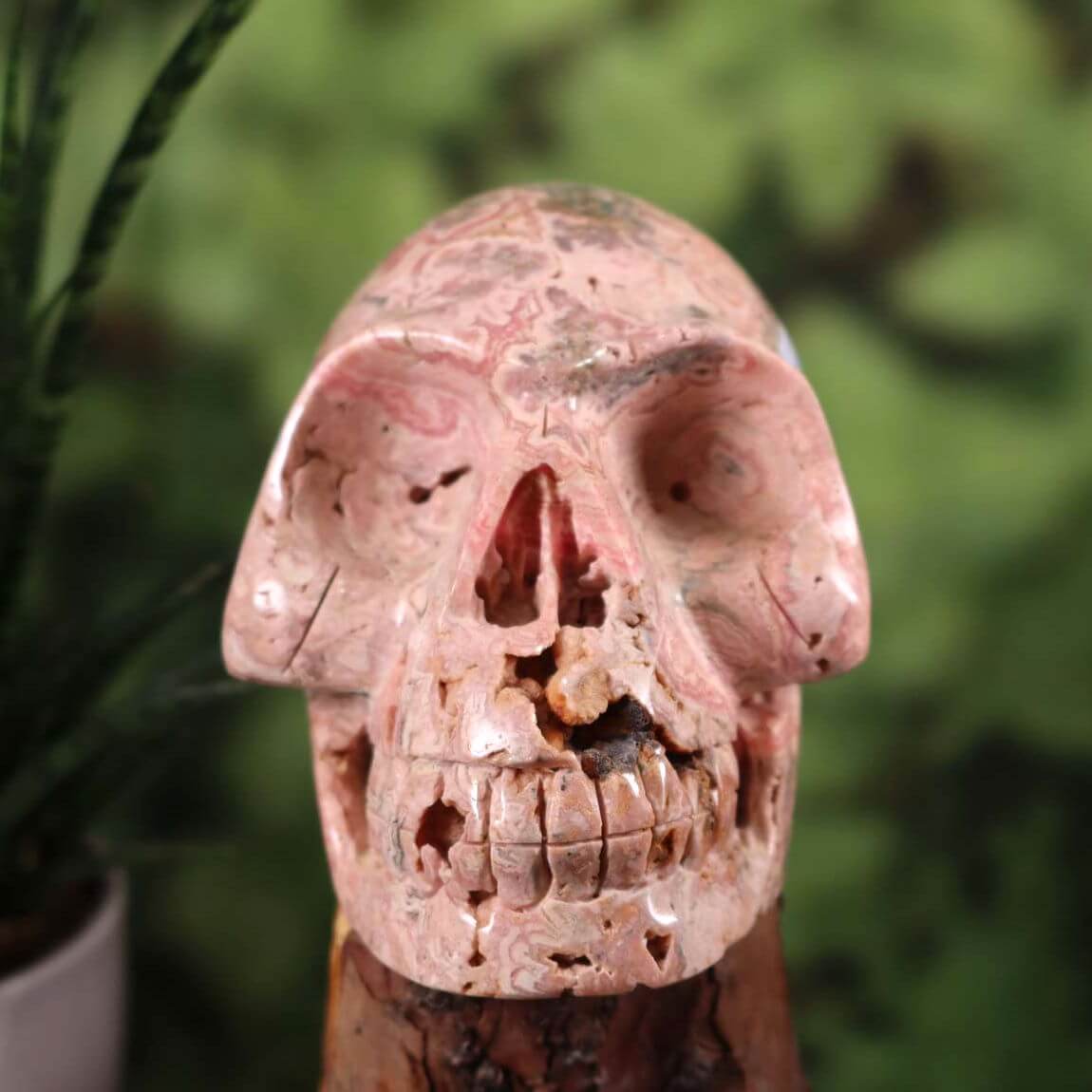 Handcrafted XL rhodochrosite crystal skull, unique collector's piece, available at Steinwelten Graz and Wiener Neustadt.