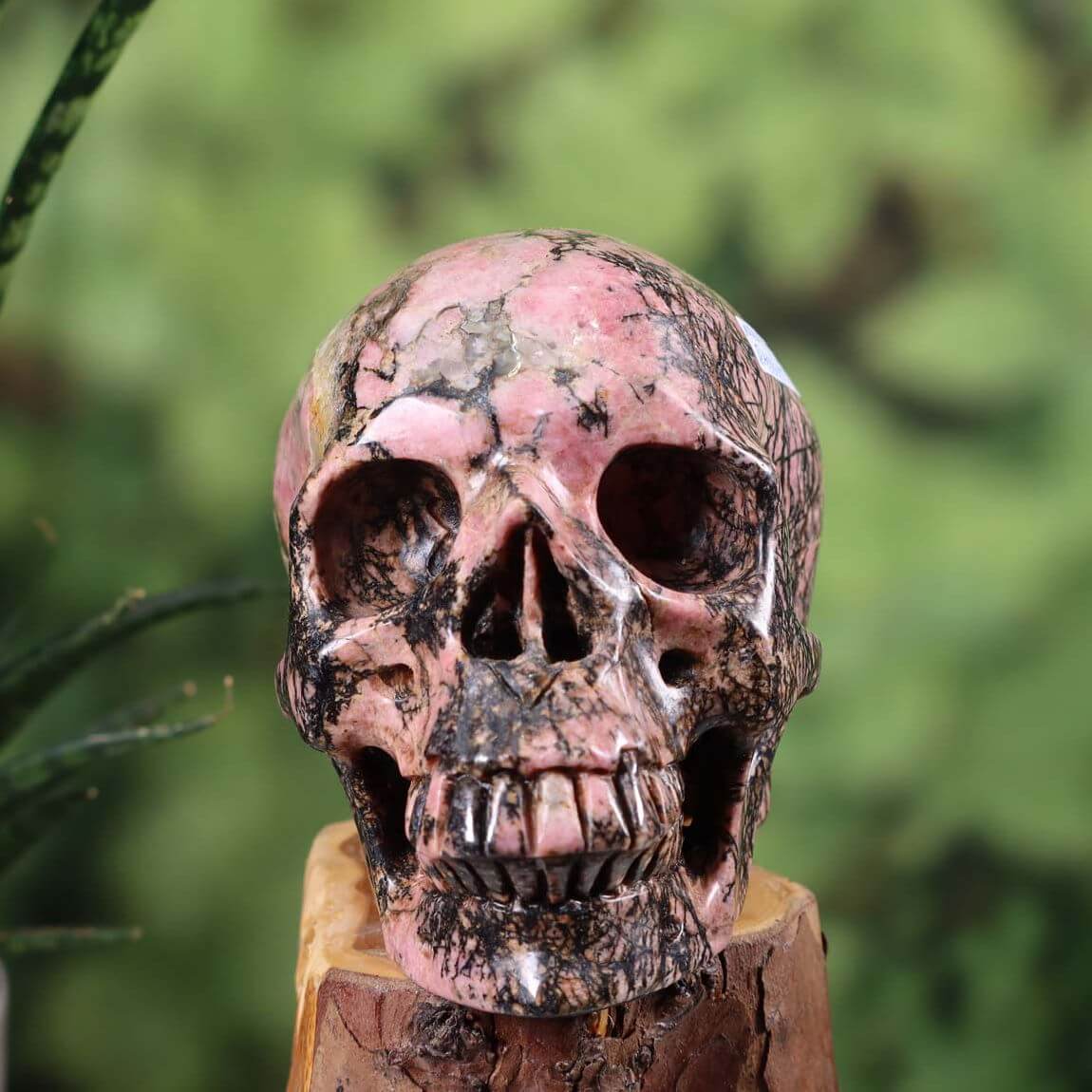 Echter großer Kristall Schädel aus Rhodonit in Hand, Sammlerstück 12x10 cm, Graz Mineralien Edelsteine