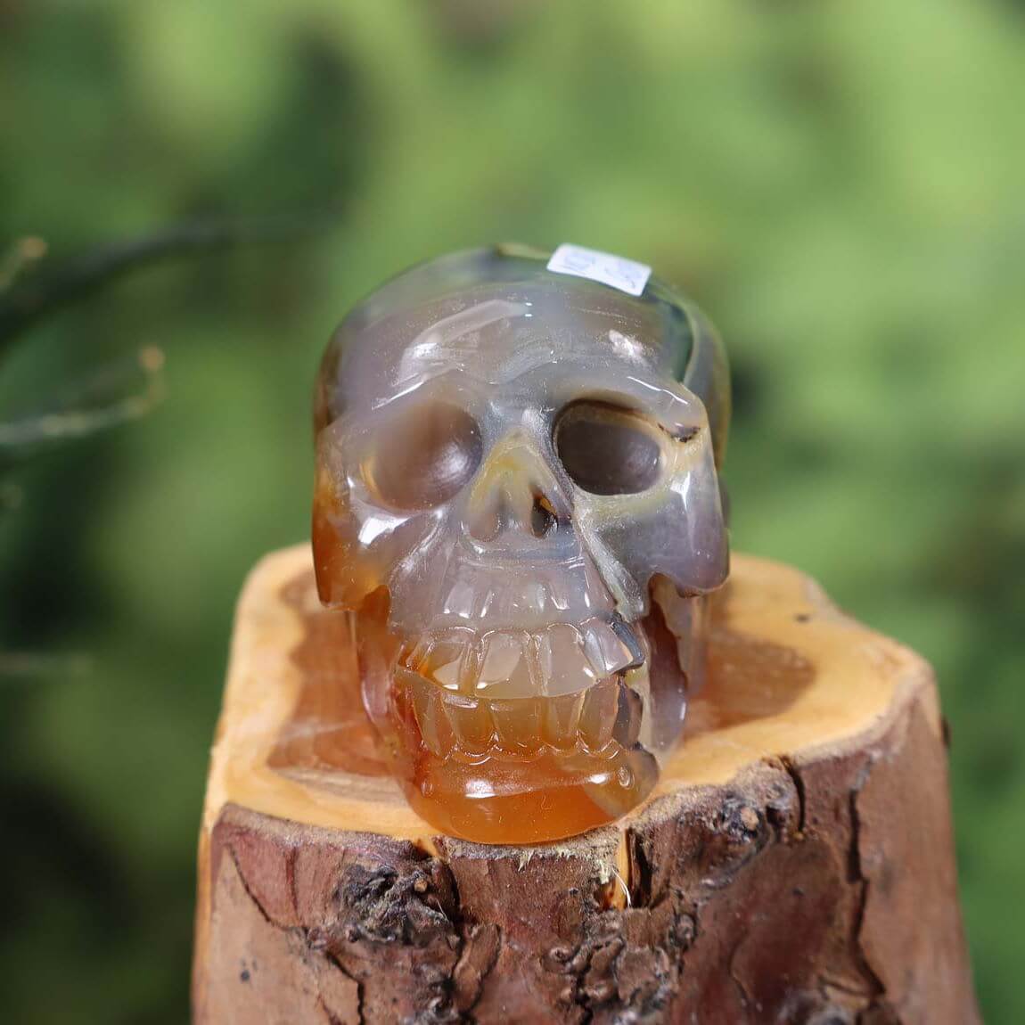 Handcrafted Sarder crystal skull, unique collector's item from Steinwelten, 6x4 cm, online purchase available.
