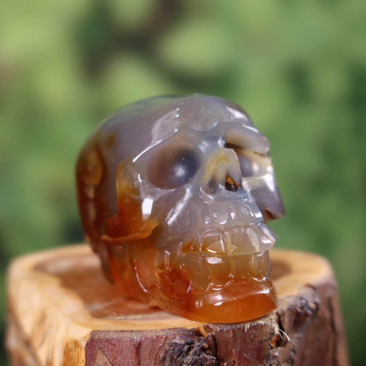 Handcrafted Sarder crystal skull, unique collector's item from Steinwelten, 6x4 cm, online purchase available.