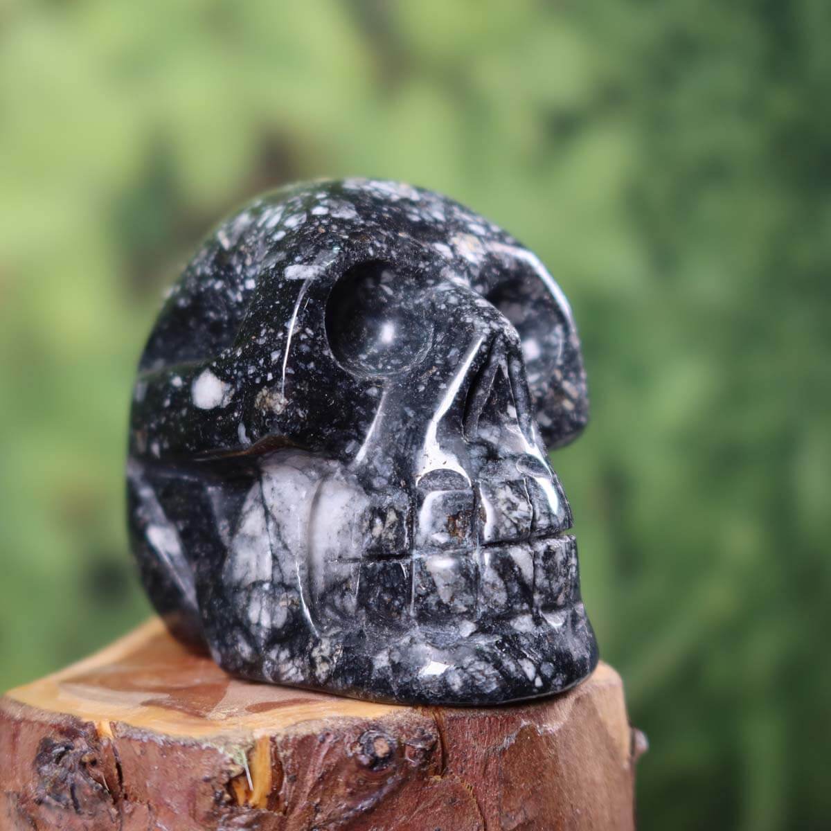 Echter Kristall Schädel aus Sedimentgestein, handgefertigt, 8x6 cm, einzigartiges Design, dekorativer Edelsteinschädel auf Holzstamm.