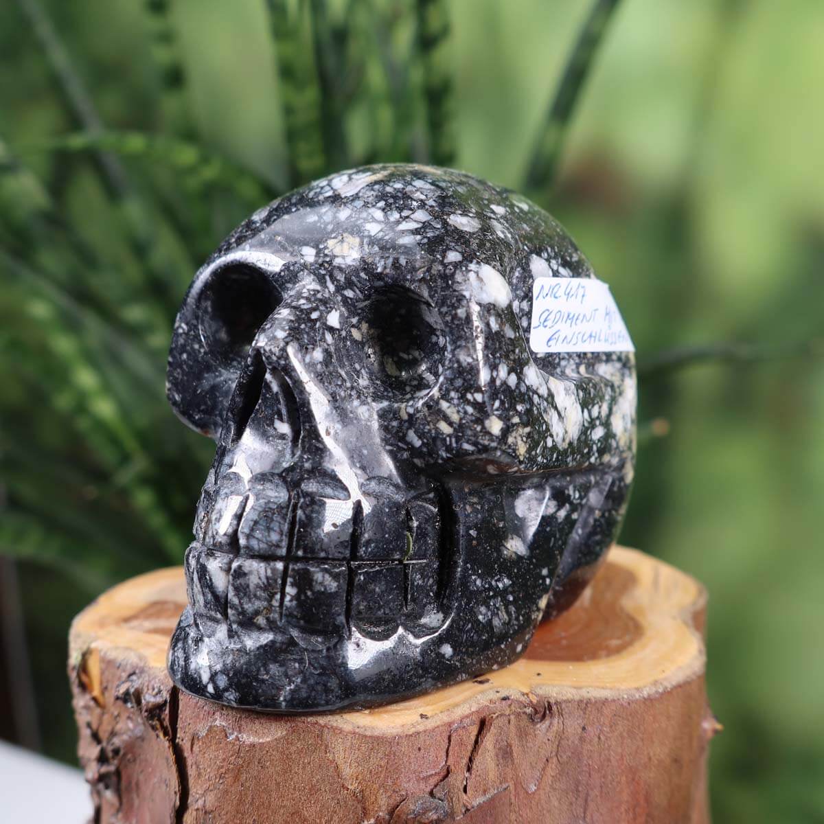 Echter Kristall Schädel aus Sedimentgestein, handgefertigt, 8x6 cm, einzigartiges Design, dekorativer Edelsteinschädel auf Holzstamm.