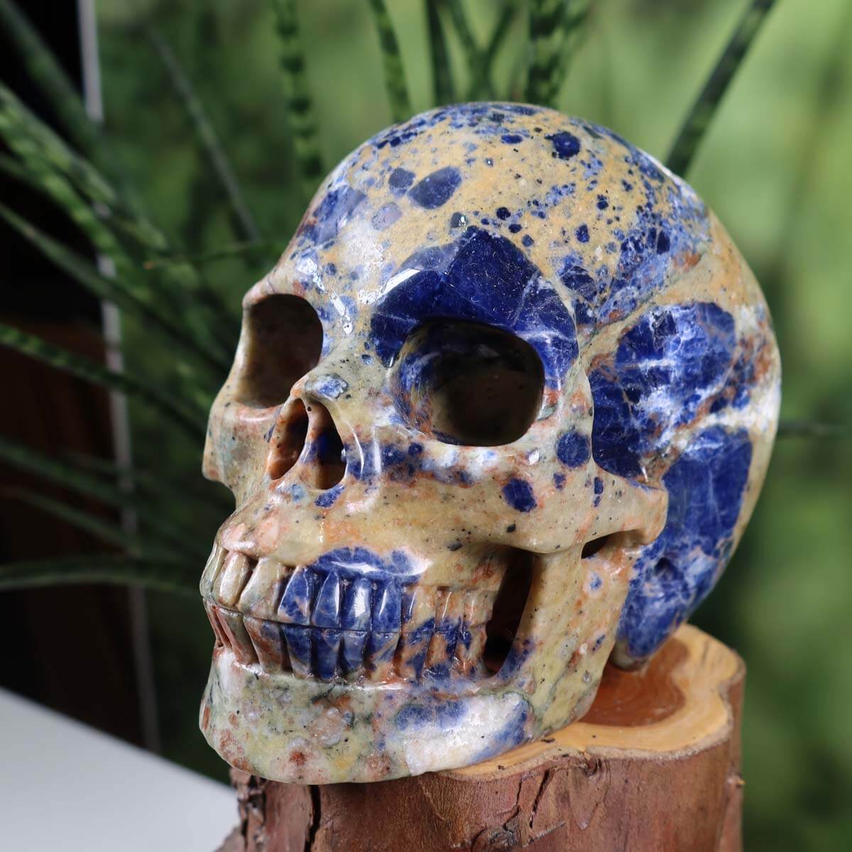 Echter Sodalith Kristall Schädel handgefertigt, 12x10 cm, ausgestellt auf Holz, einzigartiges Unikat von Graz Mineralien.