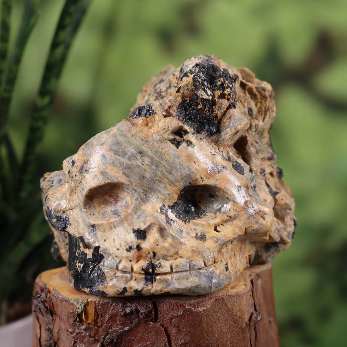 Handcrafted Tourmaline Gemstone Skull, unique crystal art piece, 10x8 cm exquisite collectible rock sculpture.