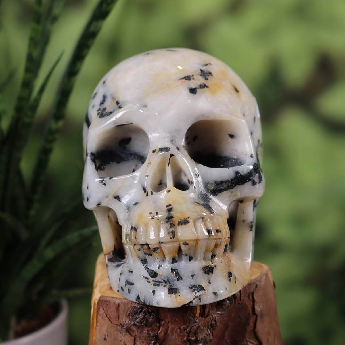 Handmade Tourmaline Quartz Crystal Skull - 12x10 cm, Unique Gemstone Art from Graz Mineralien, Ideal for Collectors