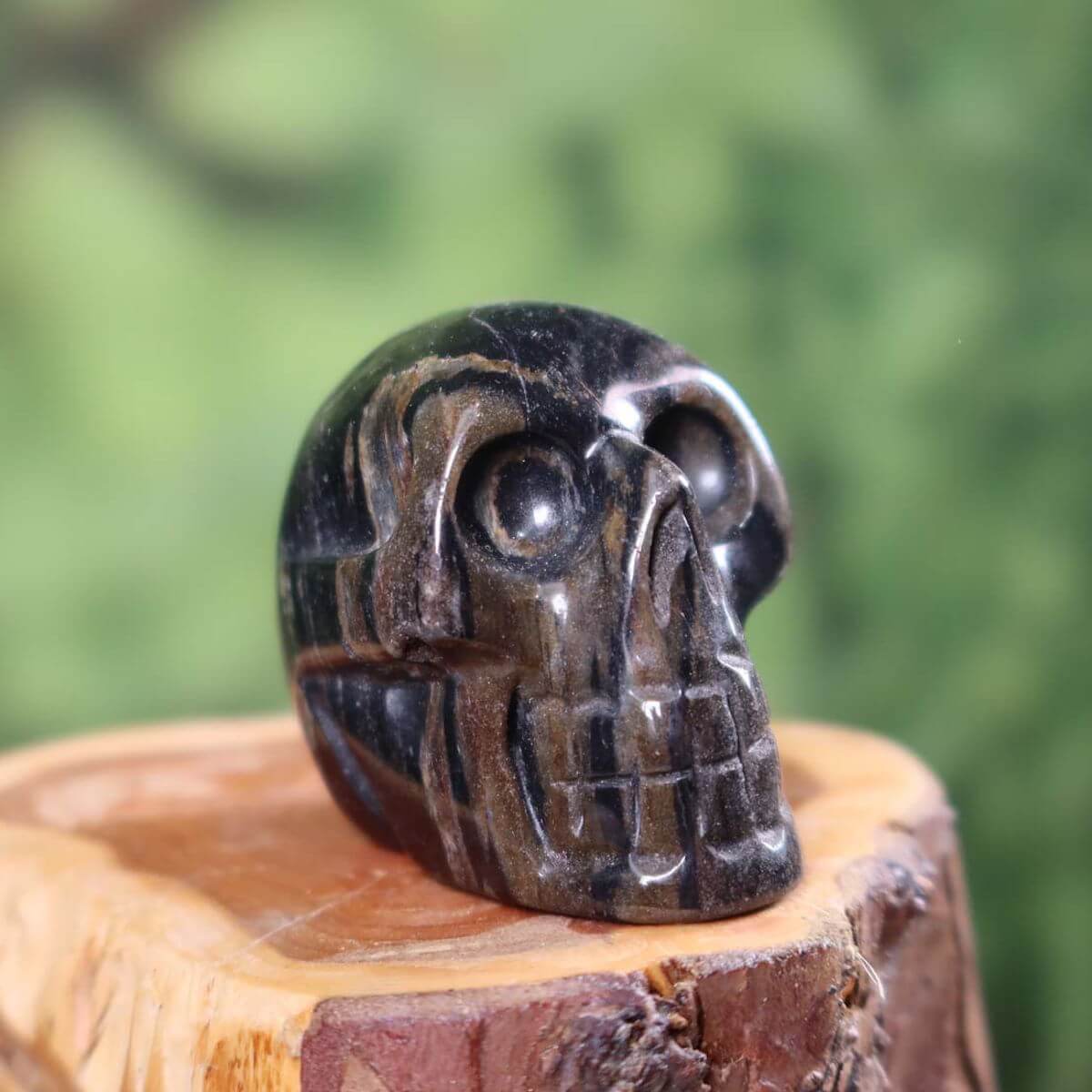 Echter Kristall Schädel aus versteinertem Holz, handgefertigt, Sammlerstück, 5x4 cm, erhältlich bei Steinwelten Graz und Wiener Neustadt.