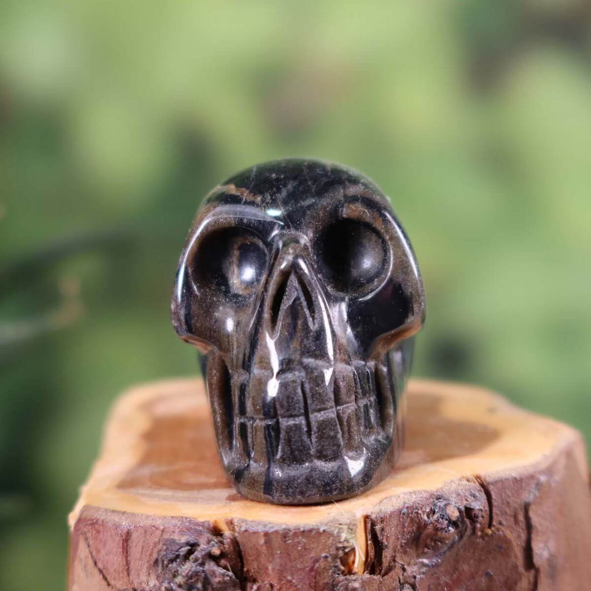 Echter Kristall Schädel aus versteinertem Holz, handgefertigt, Sammlerstück, 5x4 cm, erhältlich bei Steinwelten Graz und Wiener Neustadt.